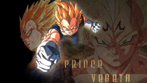 Vegeta 01.jpg